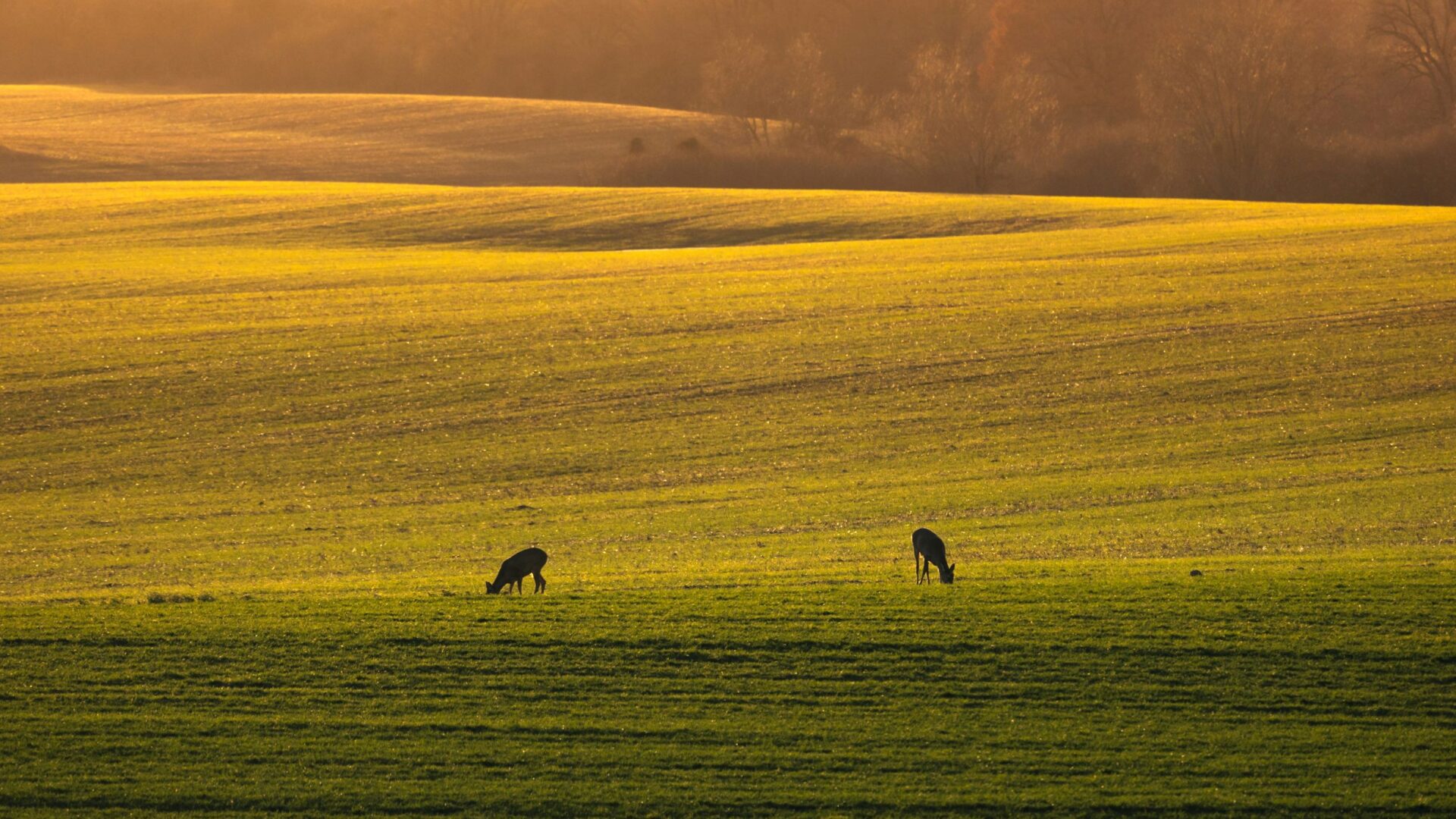 Mazury Garbate to wyjątkowy region północno-wschodniej Polski.