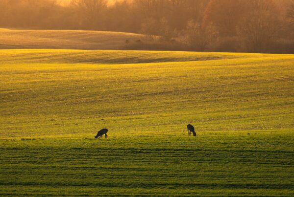 Mazury Garbate to wyjątkowy region północno-wschodniej Polski.