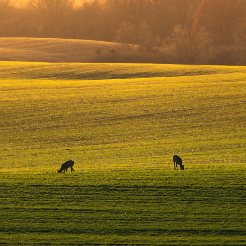 Mazury Garbate to wyjątkowy region północno-wschodniej Polski.
