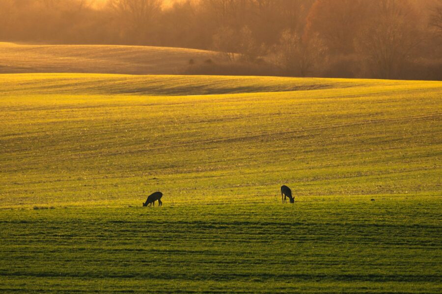 Mazury Garbate to wyjątkowy region północno-wschodniej Polski.