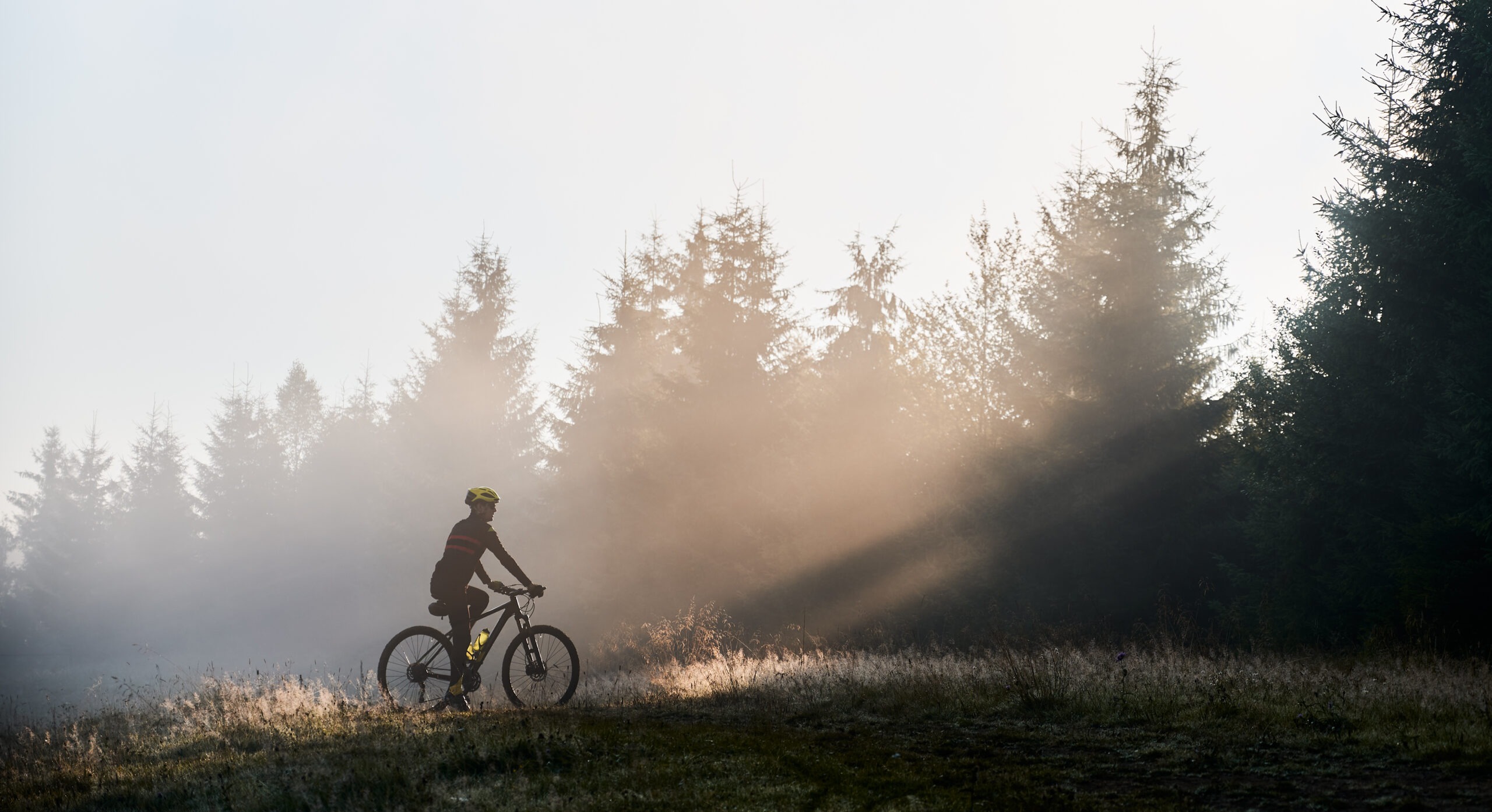 Polskie góry na rowerze: TOP 5 tras, które cię zachwycą!