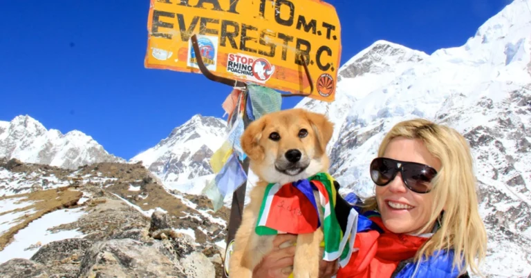 Pies ze śmietnika dotarł do Bazy Everestu! Niezwykła historia